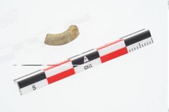 Foto von Steinperle (NHMW-PRAE-026871)